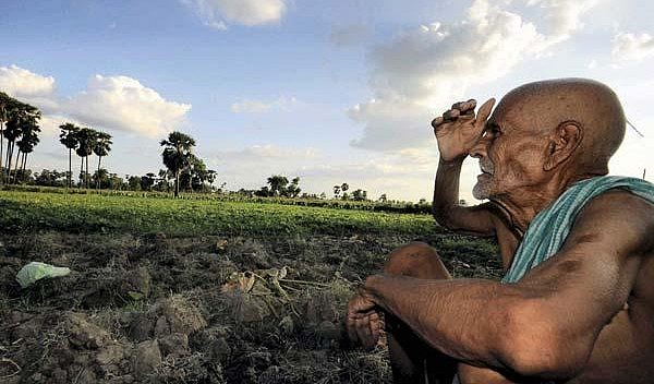 tensed farmer