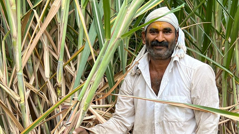 National Farmer's Day