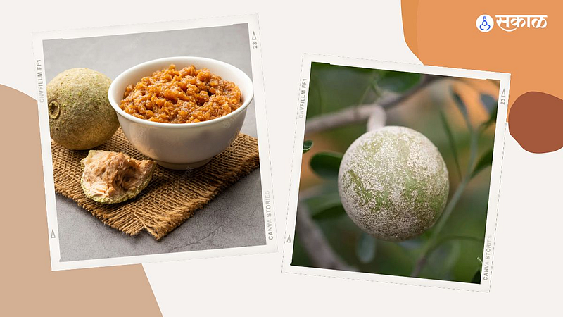 Winter Recipe