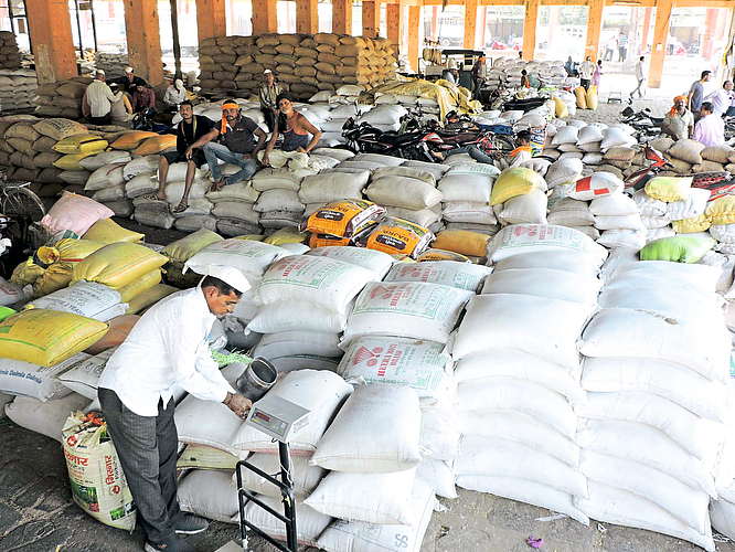 bajara submitted to Agricultural Produce Market Committee