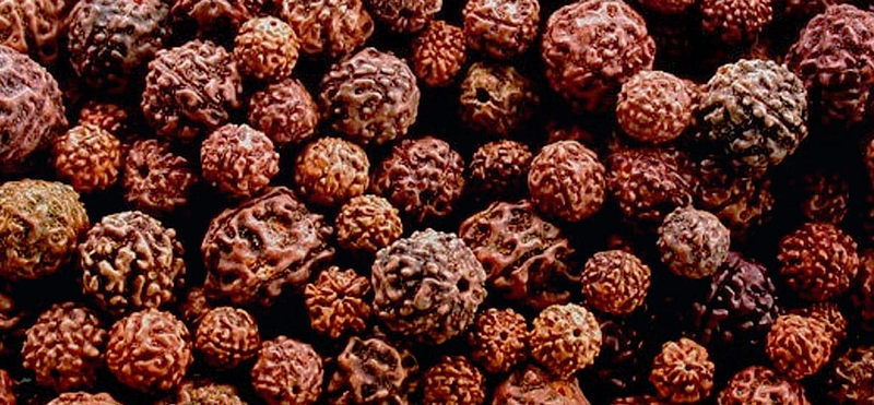 Rudraksha Tips