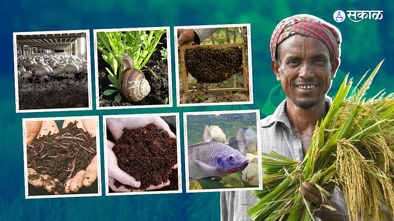 amazing ideas for profitable farming business