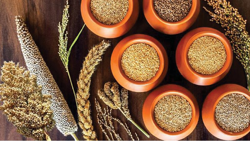 Grains