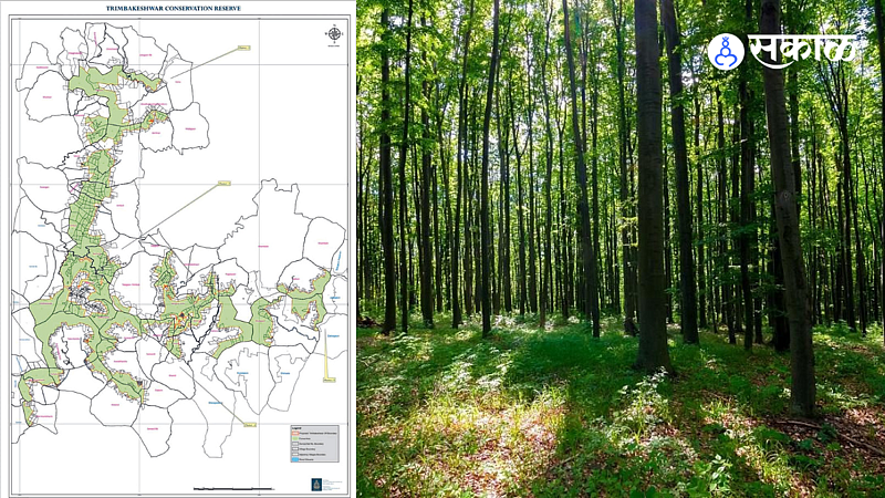 Reserved forest