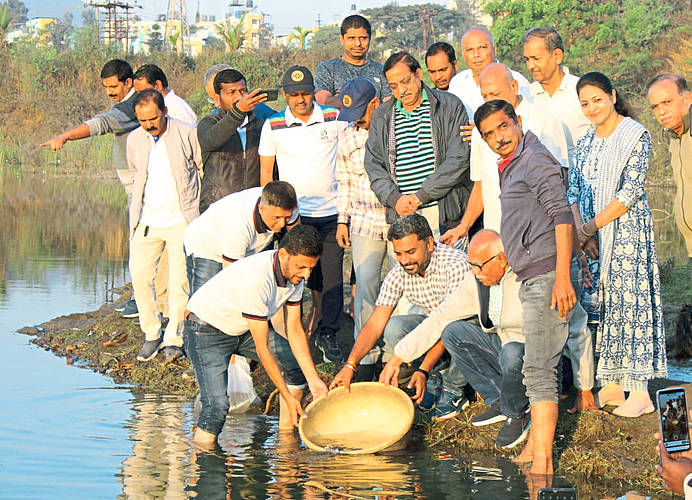 तळेगावातील तळ्यात पाच हजार मस्यबीज रोपण