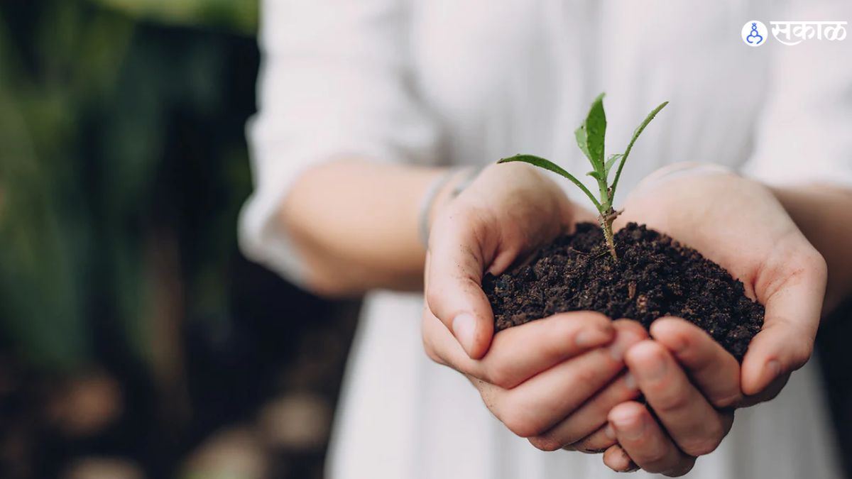 World Soil Day