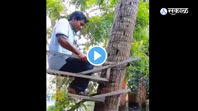 Viral Video