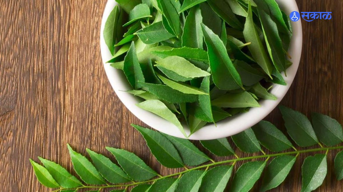 Curry Leaves