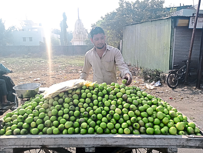 Afroz Sheikh selling apple borer near the fruit market.