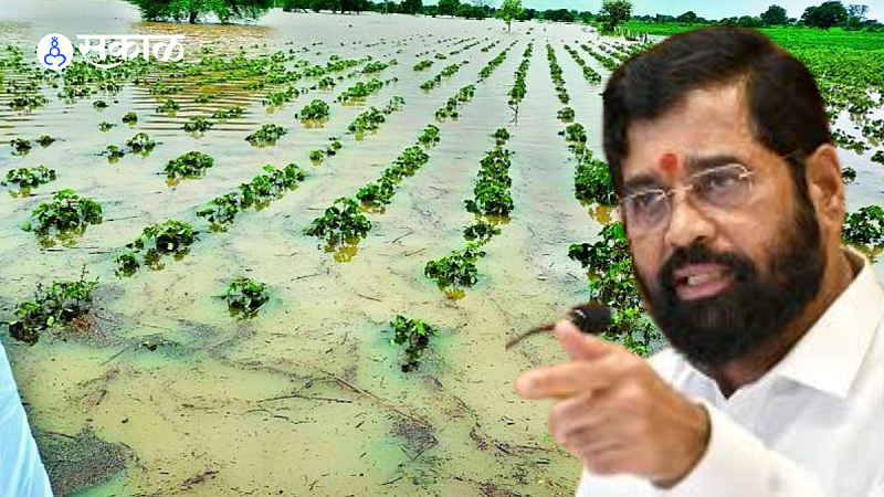 ativrushti nuksan bharpai govt doubled compensation to rain affected farmers in state eknath shinde fadanvis