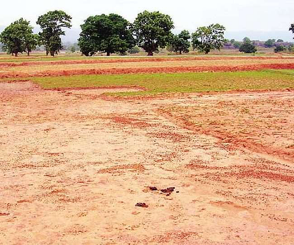 Land