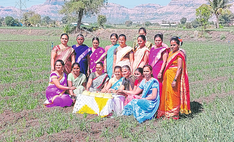 शेतात केक कापून नववर्षाचे स्वागत