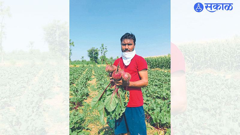 Saigaon Farmer Mangesh Mahale farm flourished by covering it with plastic