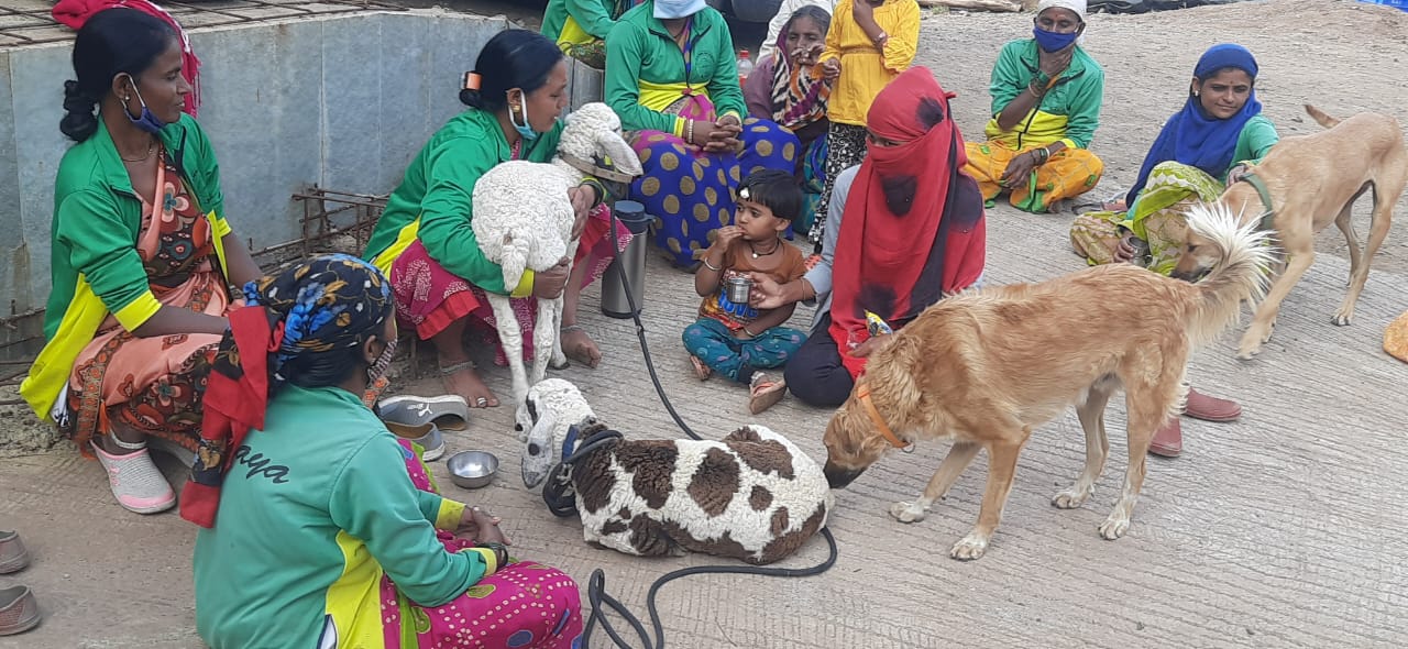 शेती प्रकल्पामध्ये काम करणाऱ्या महिला