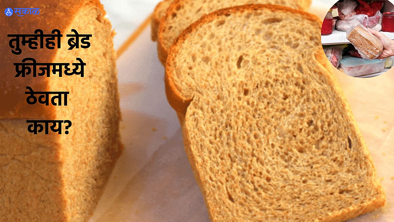 Bread In Freeze