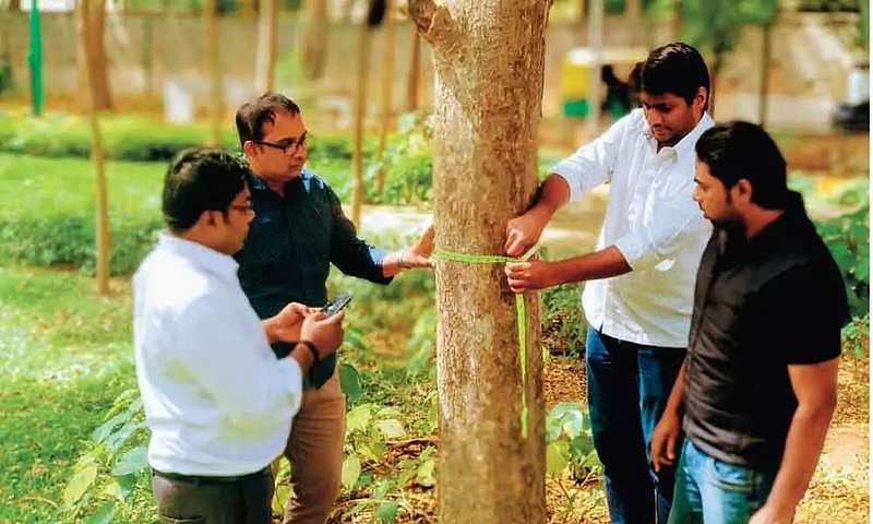 Tree Census