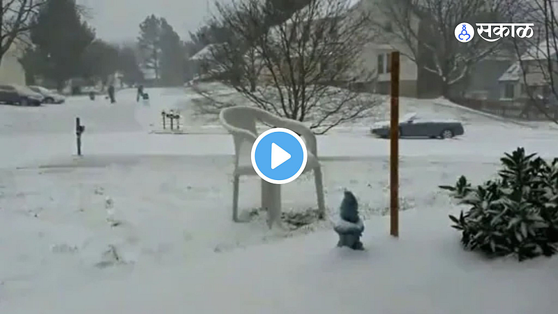 Viral Video