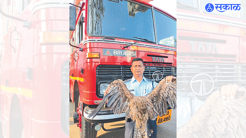 An owl rescued from a nylon net by the fire department