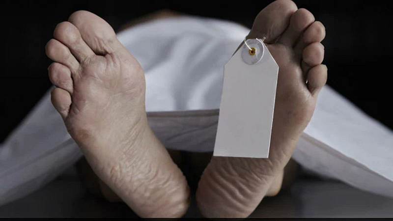 Medical Student : मेडिकल कॉलेजमध्ये मृतदेहांचा मोठा तुटवडा; विद्यार्थ्यांना...