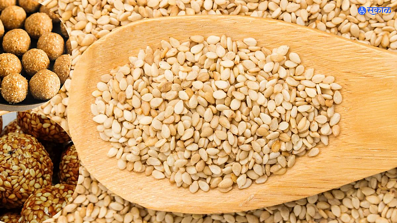 Sesame Seeds