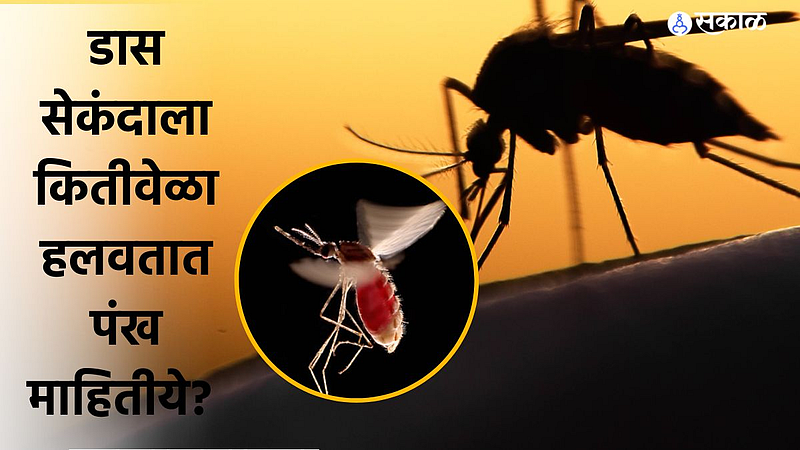 Mosquitoes