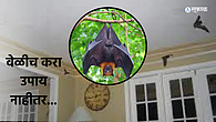 Vastu Tips Vastu Tips