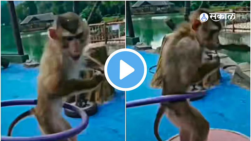 MOnkey