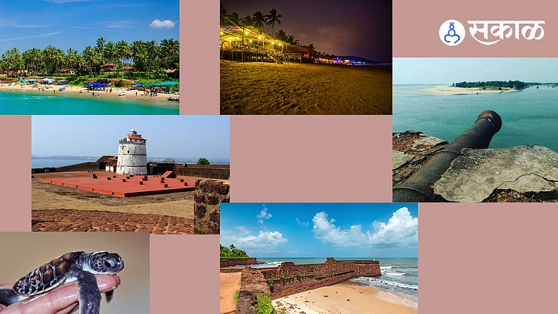Goa Tour Plan