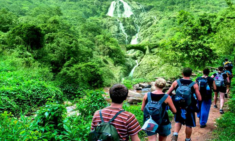 Dudhsagar tour plan