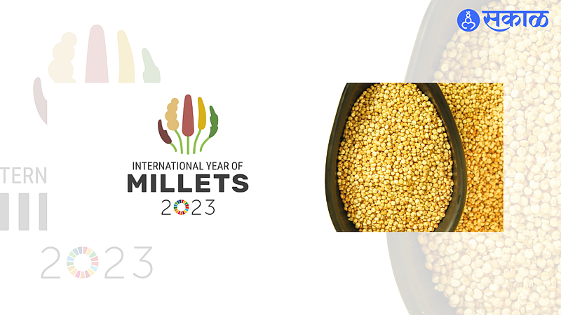 International Year of Nutritious