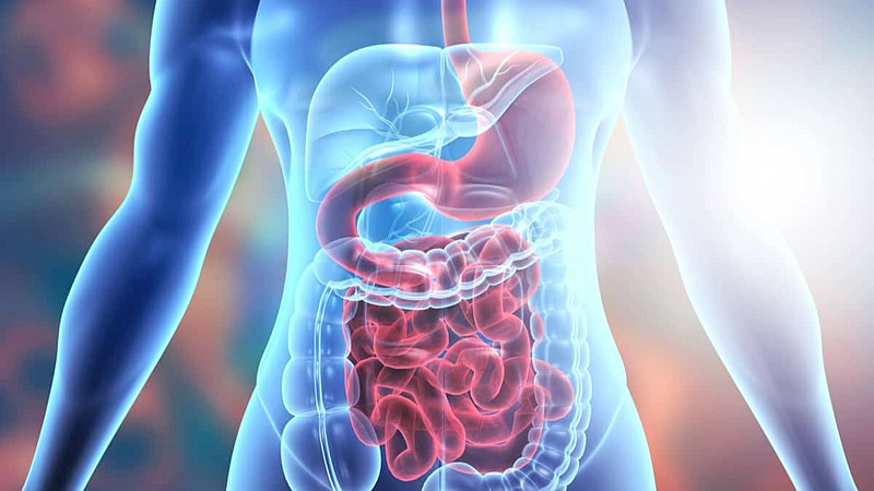 Stomach Health