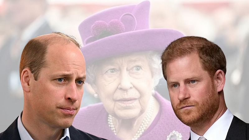william and prince harry