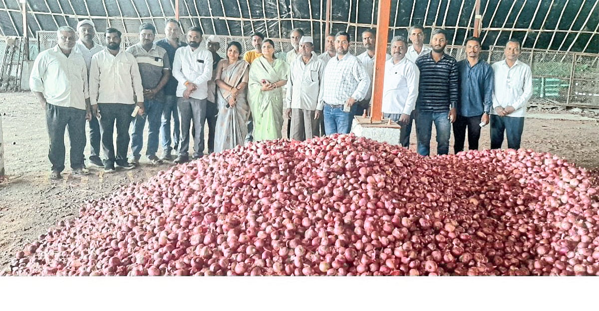Onion Purchase ‘नाफेड’च्या एजन्सीद्वारे लाल कांद्याची अल्प खरेदी; 1
