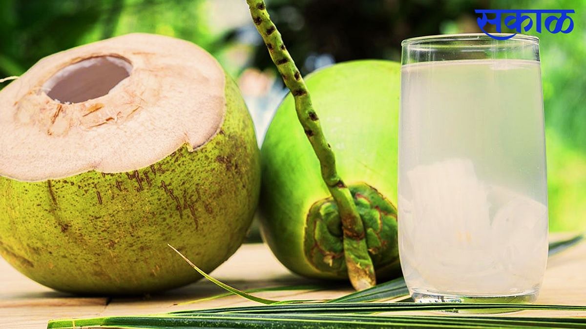 Coconut water हा फॉर्म्युला बेस्टच! नारळाचं पाणी प्या वजन कमी करा
