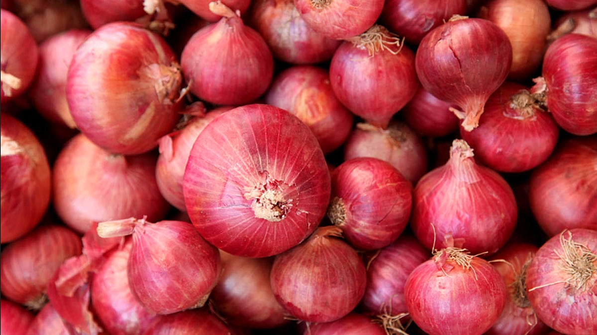 Onion Subsidy: सटाण्यात 13 हजार शेतकरी कांदा अनुदानास पात्र! त्रुटीमुळे 2 हजार शेतकऱ्यांचे प्रस्ताव प्रलंबित