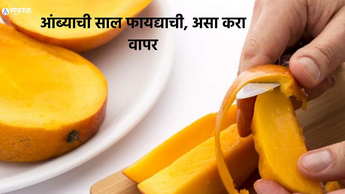 Mango Peel Benefits आंब्याची साल फेकू नका, आरोग्यासाठी अन् सौंदर्य