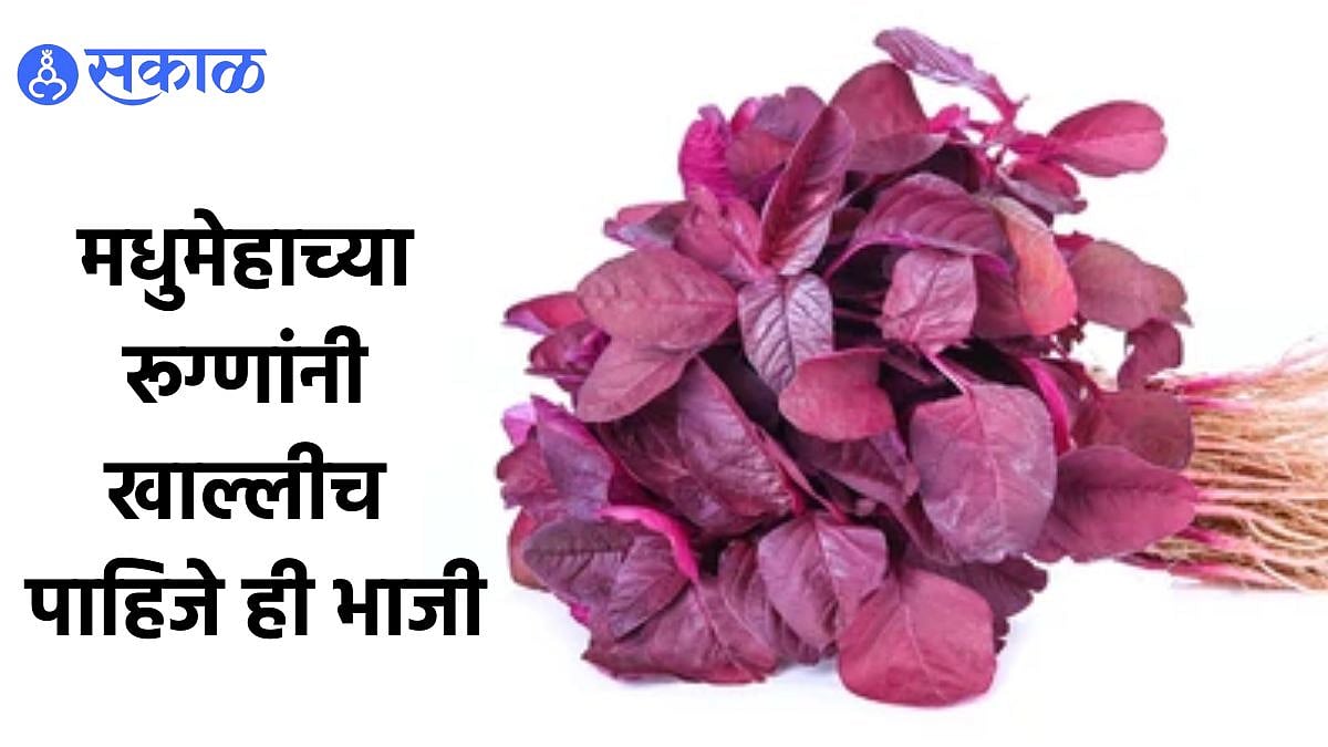 Spirulina Plant Benefits मधुमेहाच्या रूग्णांनी खाल्लीच पाहिजे ही भाजी