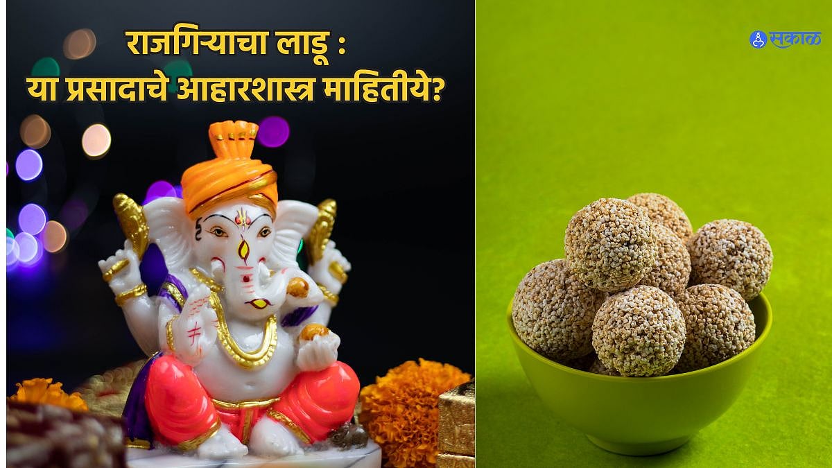 Ganesh Chaturthi 2023 Prasad शास्त्र प्रसादाचे राजगिऱ्याचे लाडू l