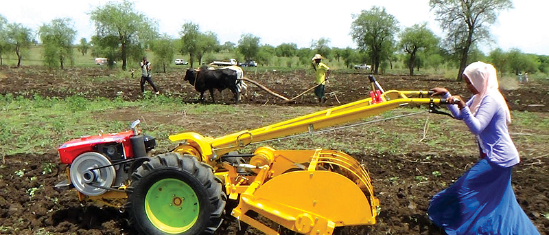 Agriculature
