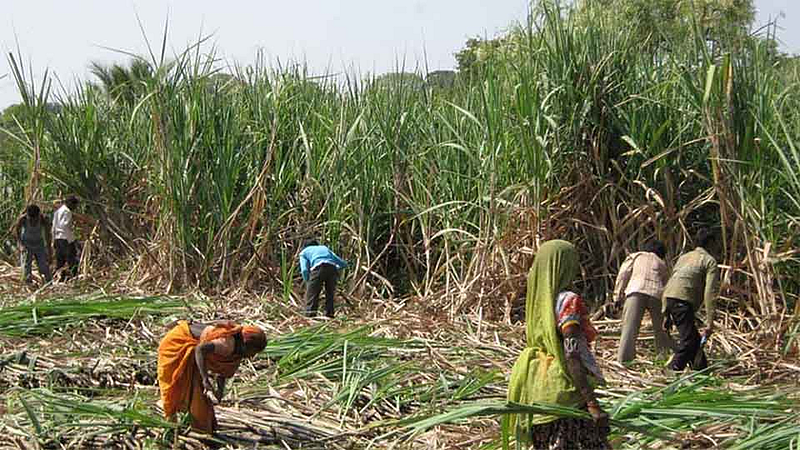 belgaum