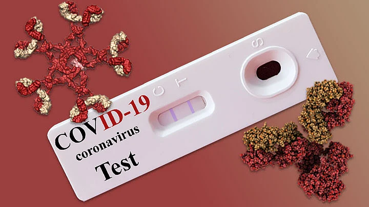 coronavirus antibody report