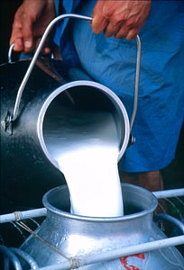 This is the challenge facing the auditor of the milk institute