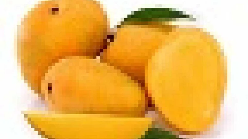 MANGO