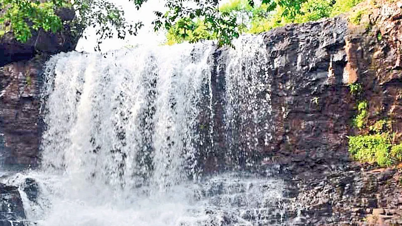 Havali Kada Water Fall In Indvati Village Ratnagiri Marathi News