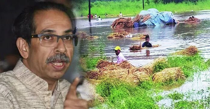 CM-Thackeray-Farmers-Heavy-Rain-696x364.jpg