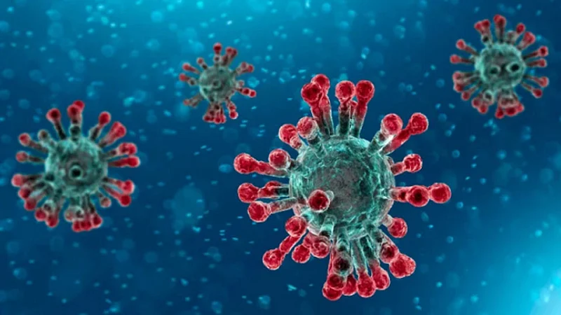 Corona-Virus