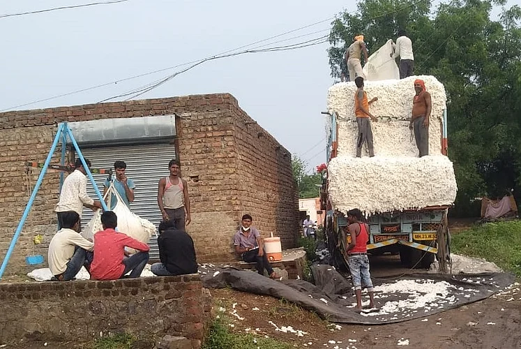 Cotton Purchasing Centre At Pachod