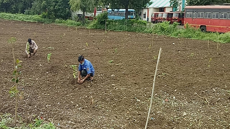 During the lockdown fruit trees were planted nashik marathi news