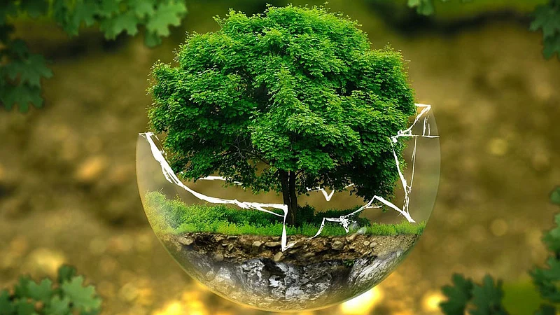 Environment