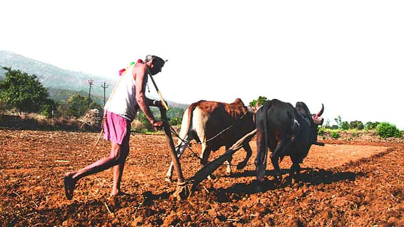 Farmer
